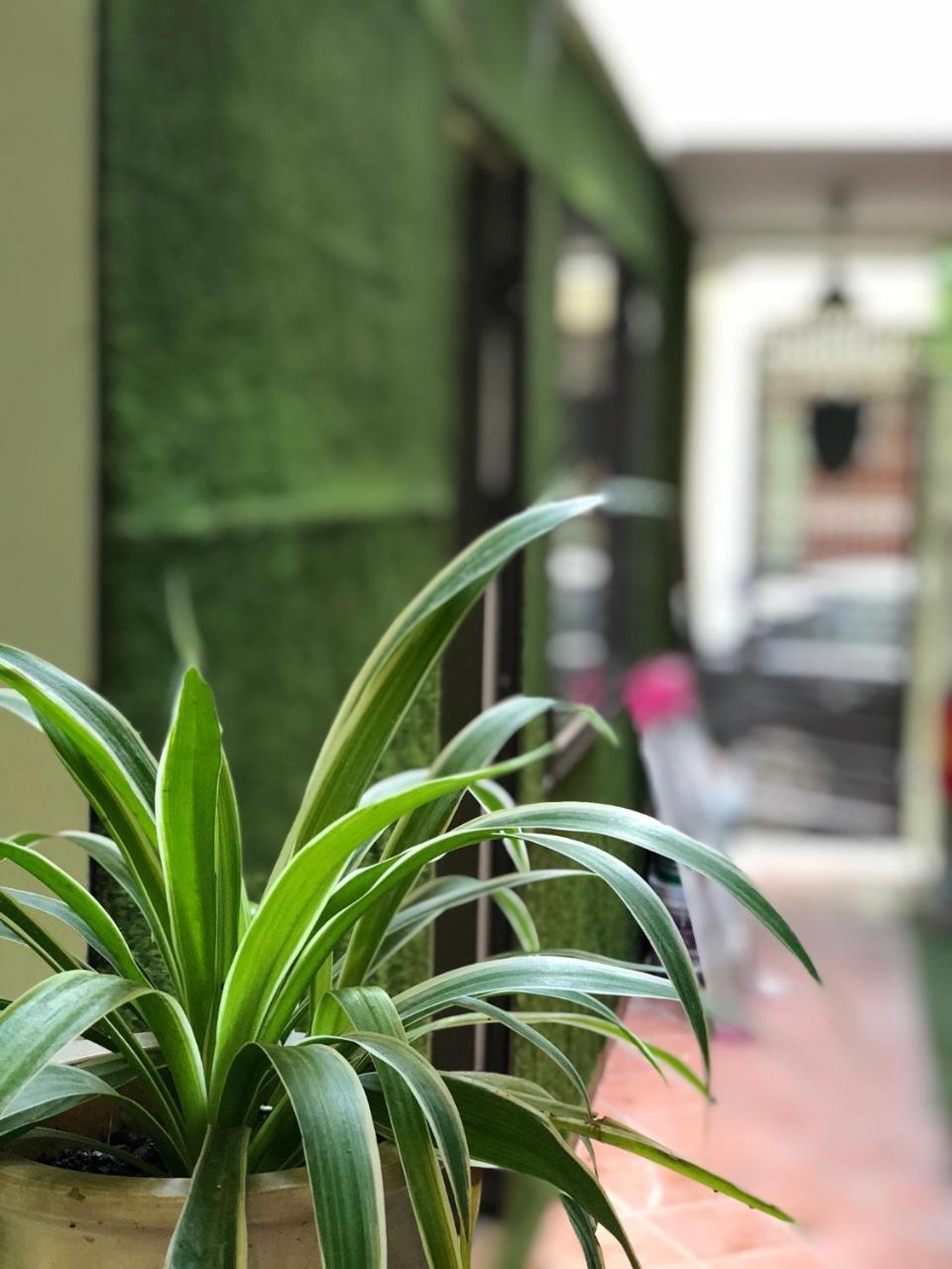 ハイフォンVentana Houseアパートメント エクステリア 写真